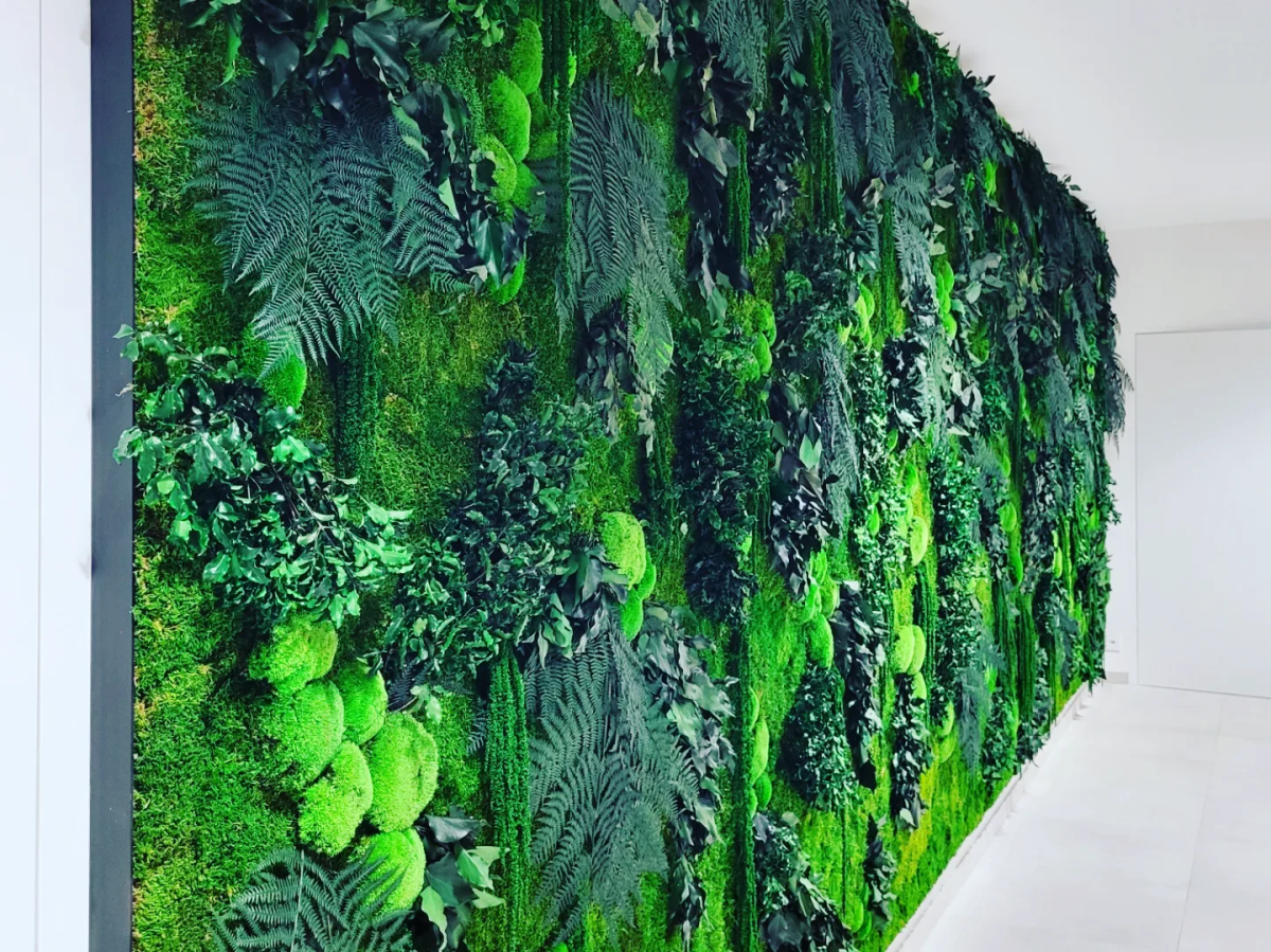 Séparation de jardin naturel